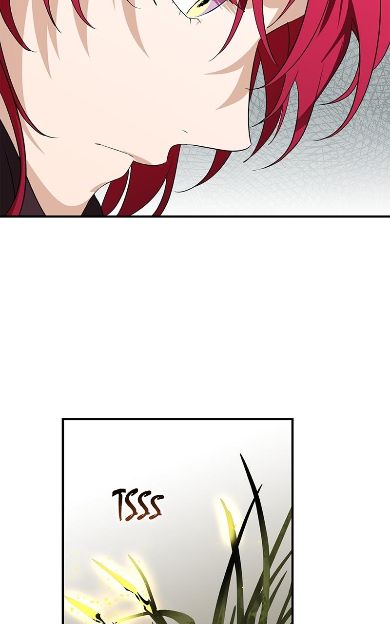 The Spark in Your Eyes Chapter 177