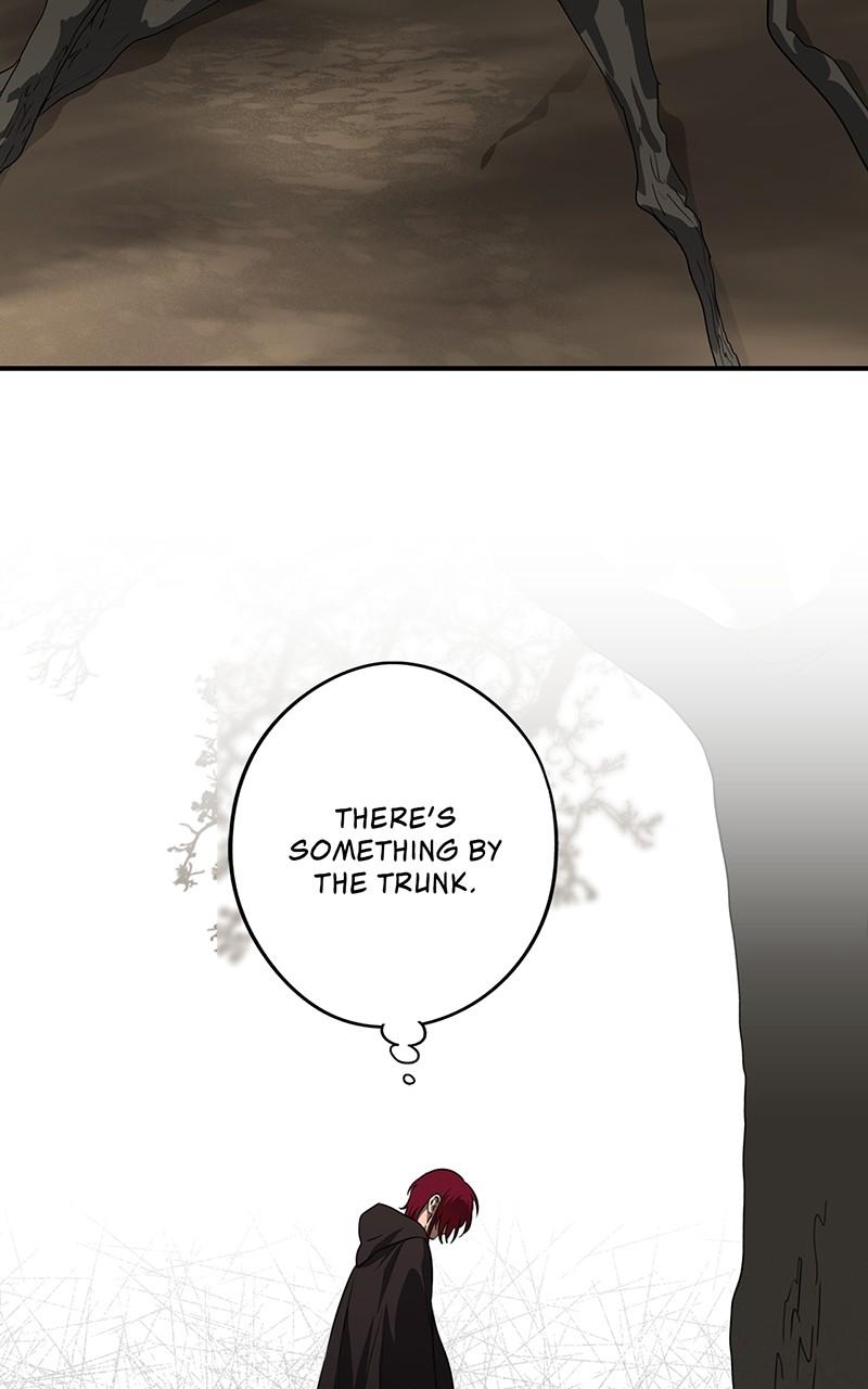 The Spark in Your Eyes Chapter 177