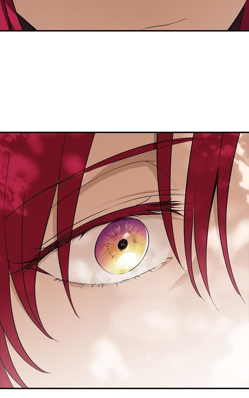 The Spark in Your Eyes Chapter 177