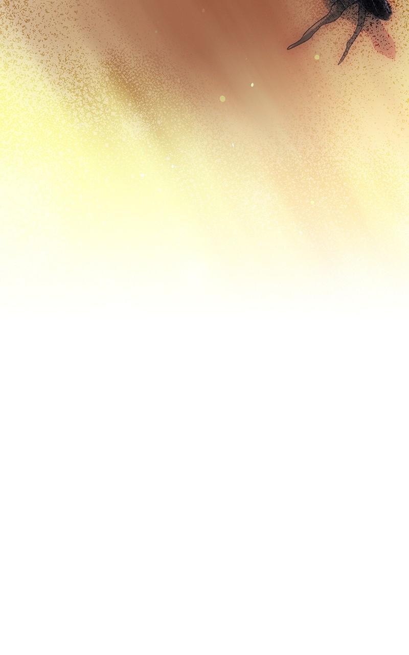 The Spark in Your Eyes Chapter 177