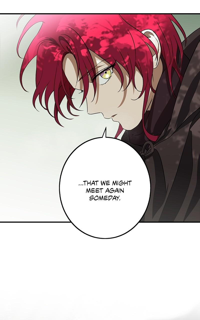 The Spark in Your Eyes Chapter 177