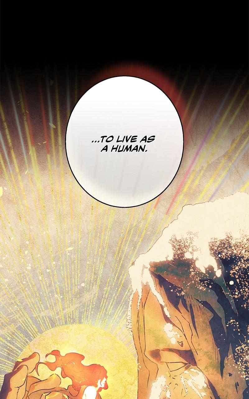 The Spark in Your Eyes Chapter 178