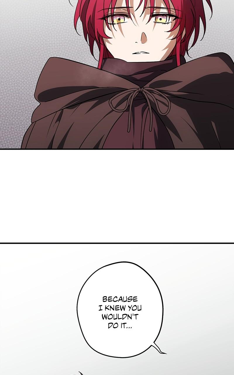 The Spark in Your Eyes Chapter 185