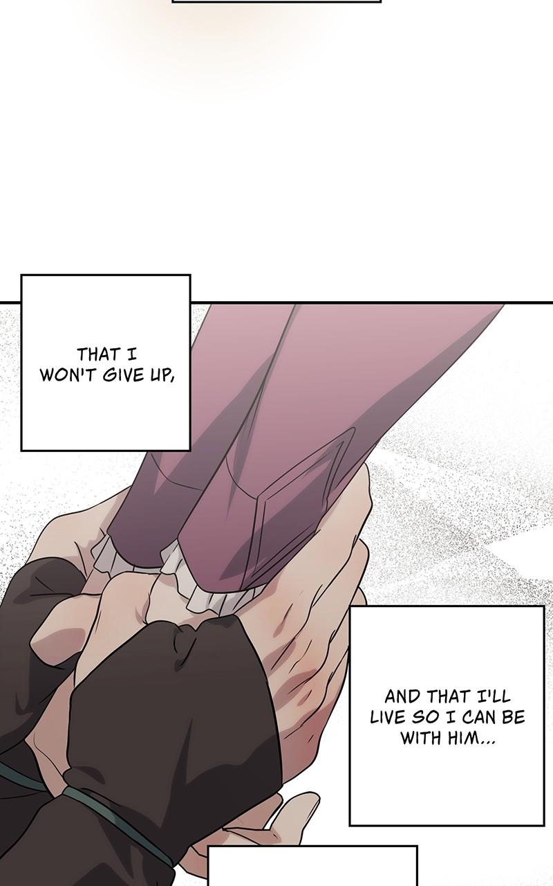 The Spark in Your Eyes Chapter 185