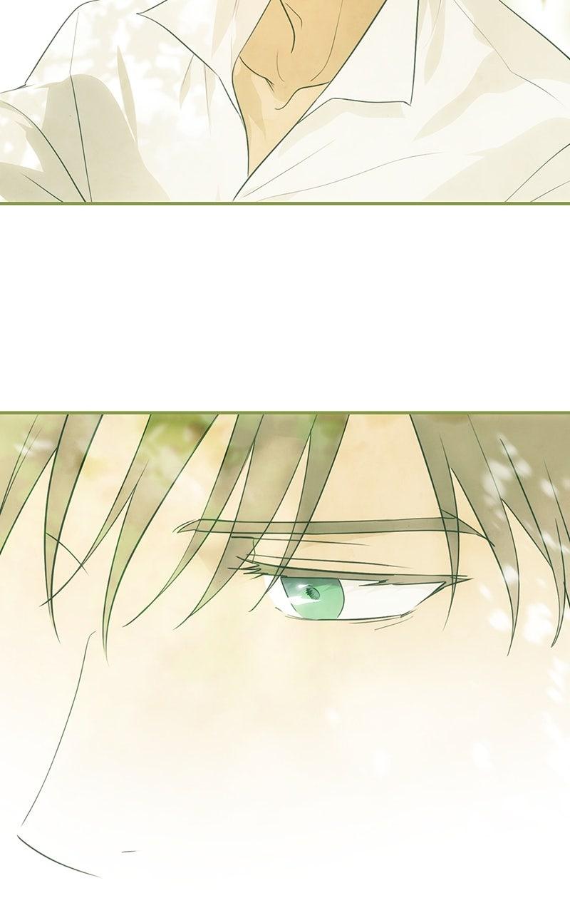 The Spark in Your Eyes Chapter 188