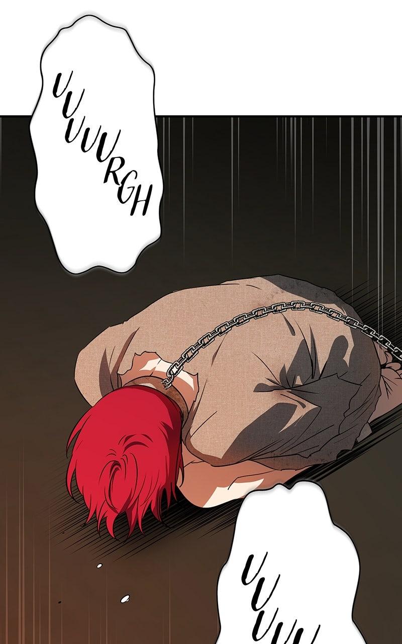 The Spark in Your Eyes Chapter 198