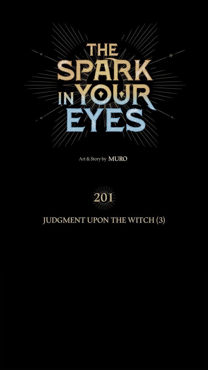 The Spark in Your Eyes Chapter 201