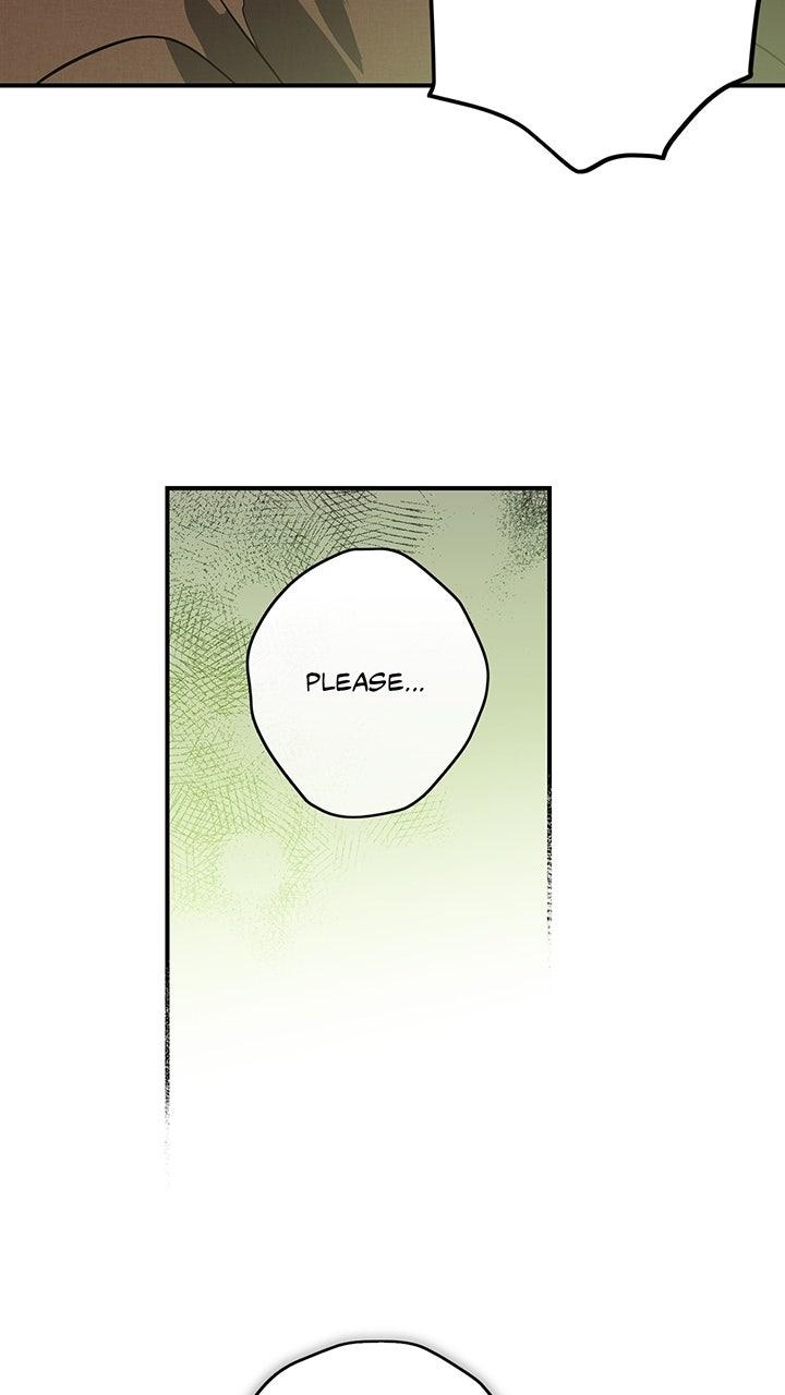 The Spark in Your Eyes Chapter 201