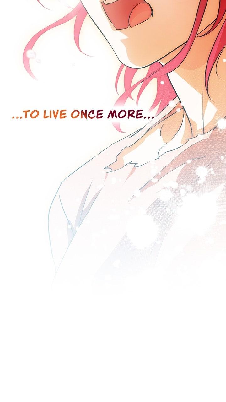 The Spark in Your Eyes Chapter 202