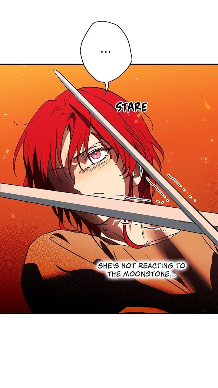 The Spark in Your Eyes Chapter 203