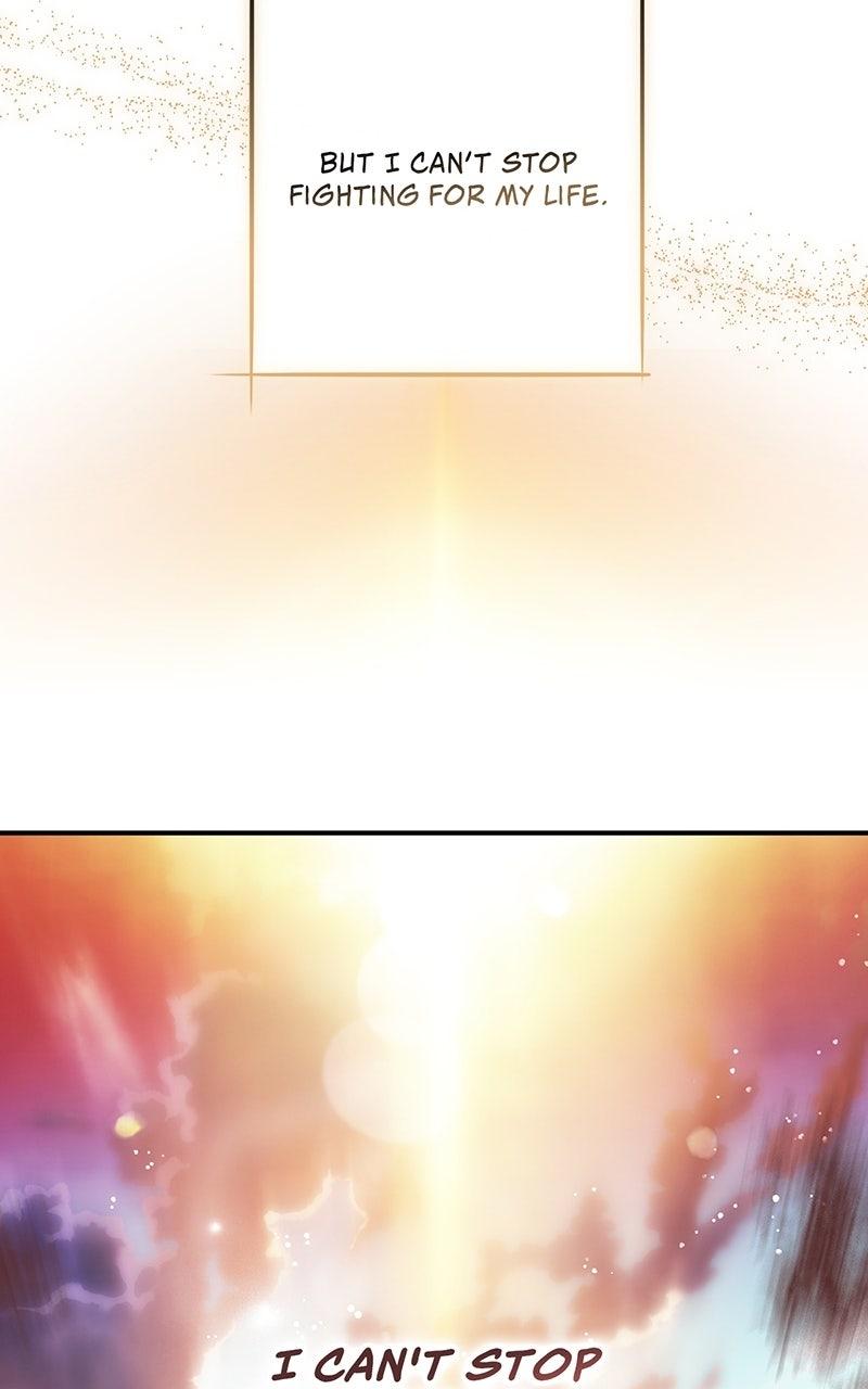 The Spark in Your Eyes Chapter 204