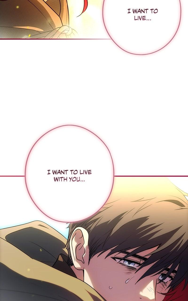 The Spark in Your Eyes Chapter 204