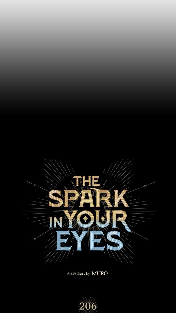 The Spark in Your Eyes Chapter 206