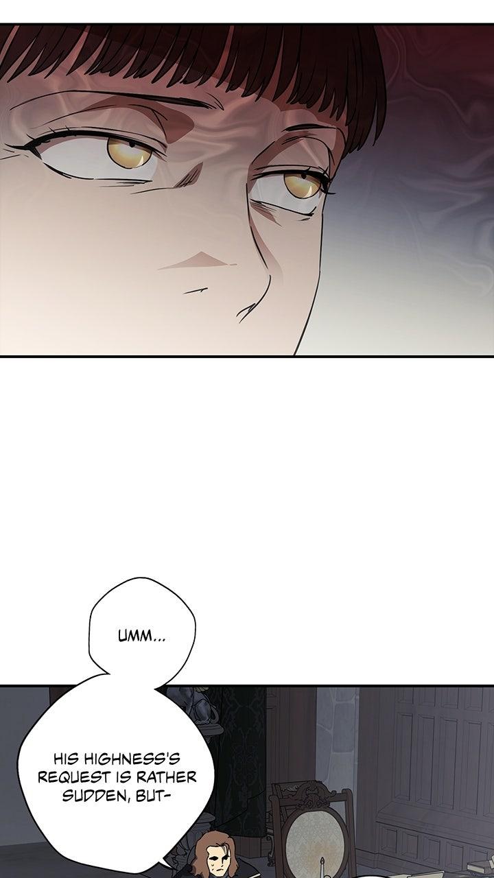 The Spark in Your Eyes Chapter 206