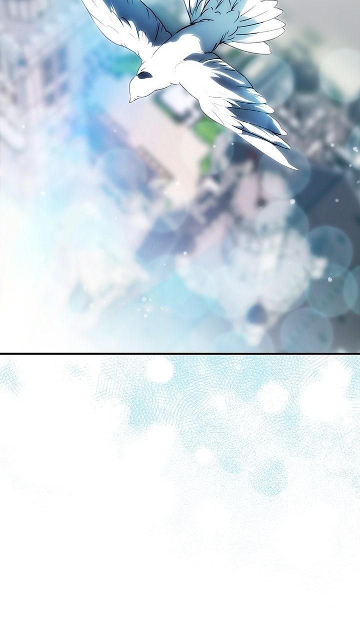 The Spark in Your Eyes Chapter 209