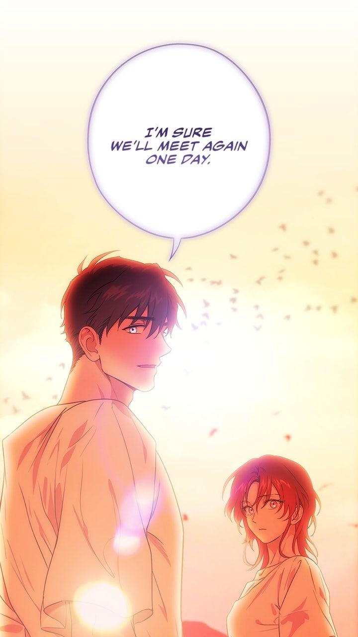 The Spark in Your Eyes Chapter 211