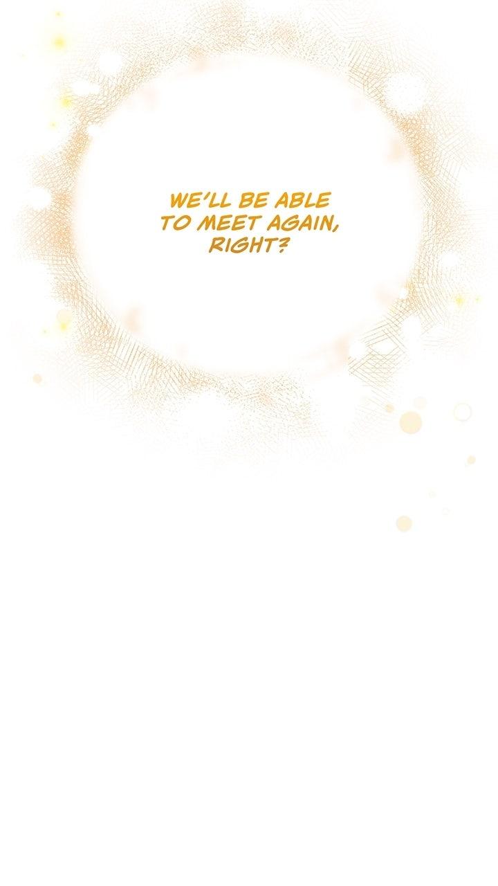 The Spark in Your Eyes Chapter 211