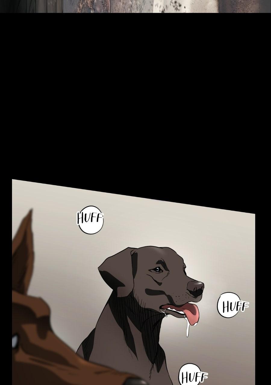 The Spark in Your Eyes Chapter 213