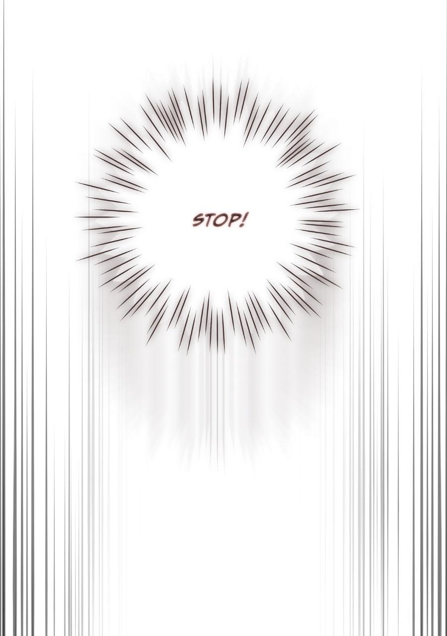 The Spark in Your Eyes Chapter 213