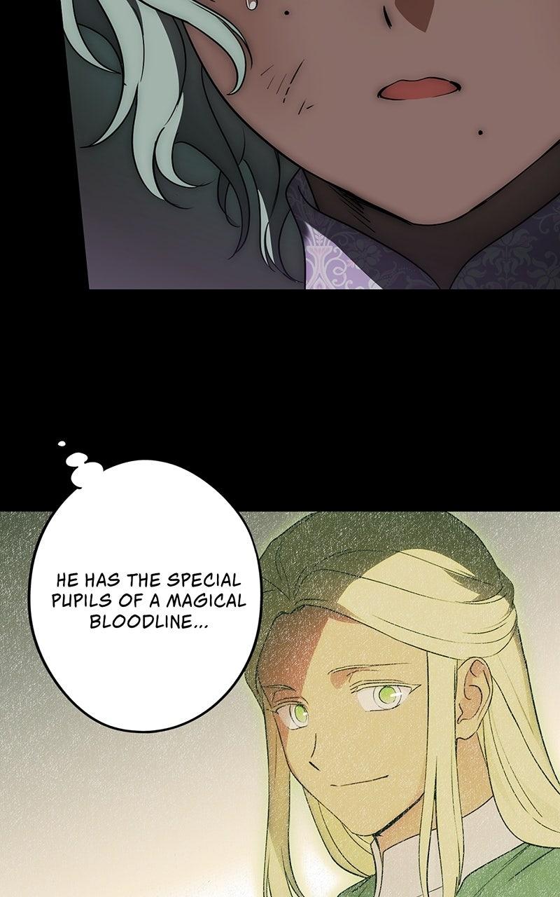 The Spark in Your Eyes Chapter 215