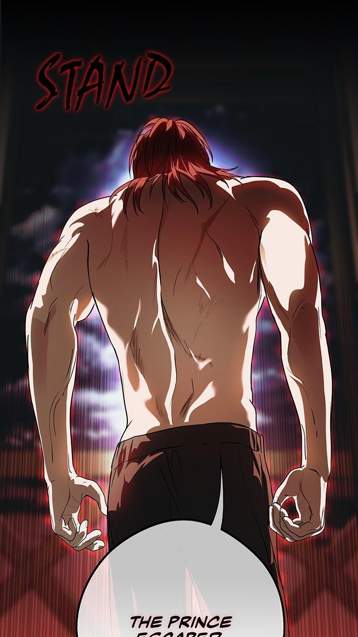 The Spark in Your Eyes Chapter 216