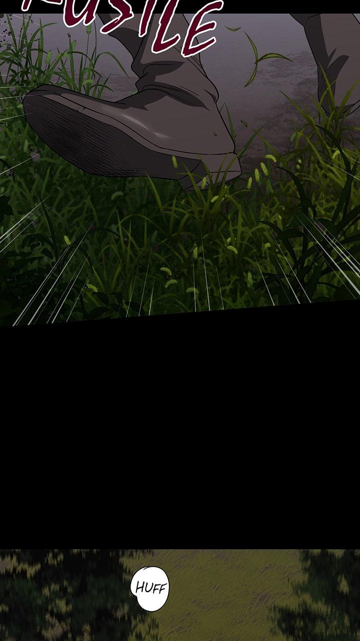 The Spark in Your Eyes Chapter 216