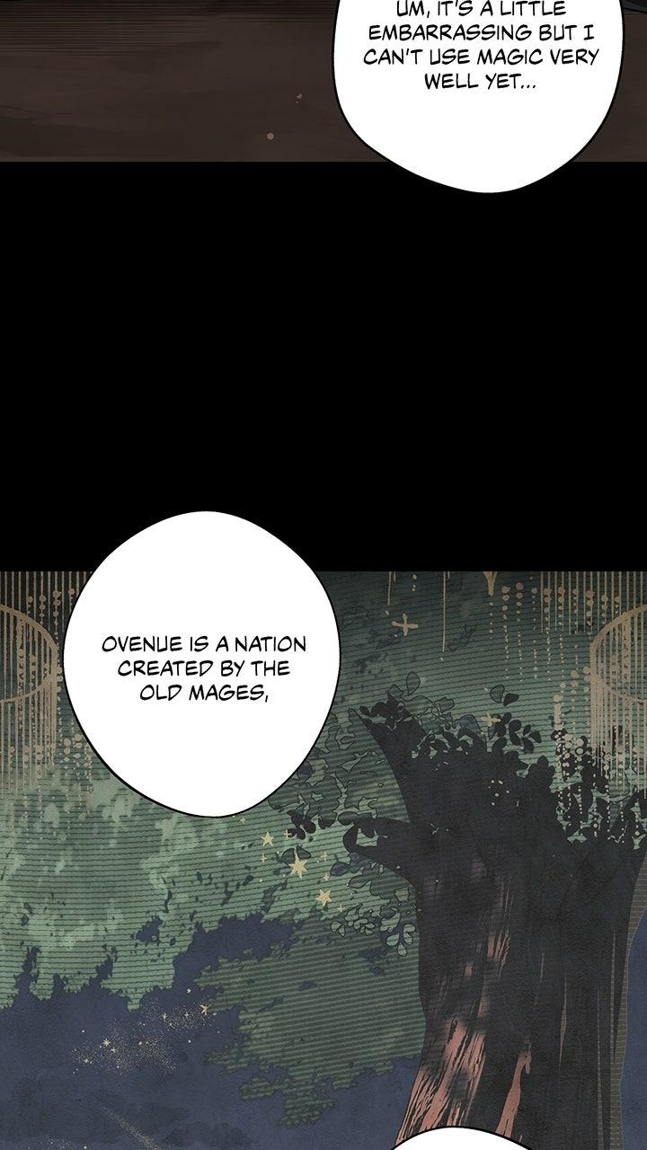 The Spark in Your Eyes Chapter 217