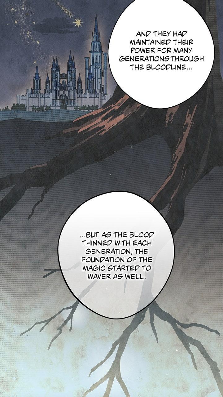 The Spark in Your Eyes Chapter 217