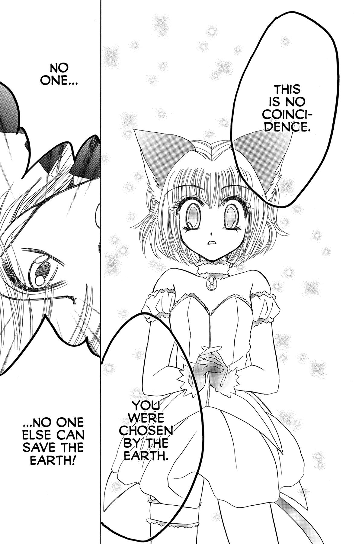 Tokyo Mew Mew Chapter 28 32