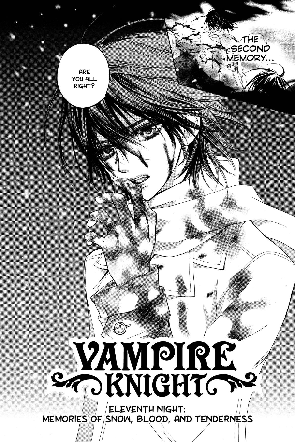Vampire Knight Volume 11 2