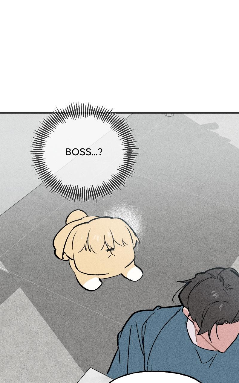 Devilish Son-In-Law Episode 8 82