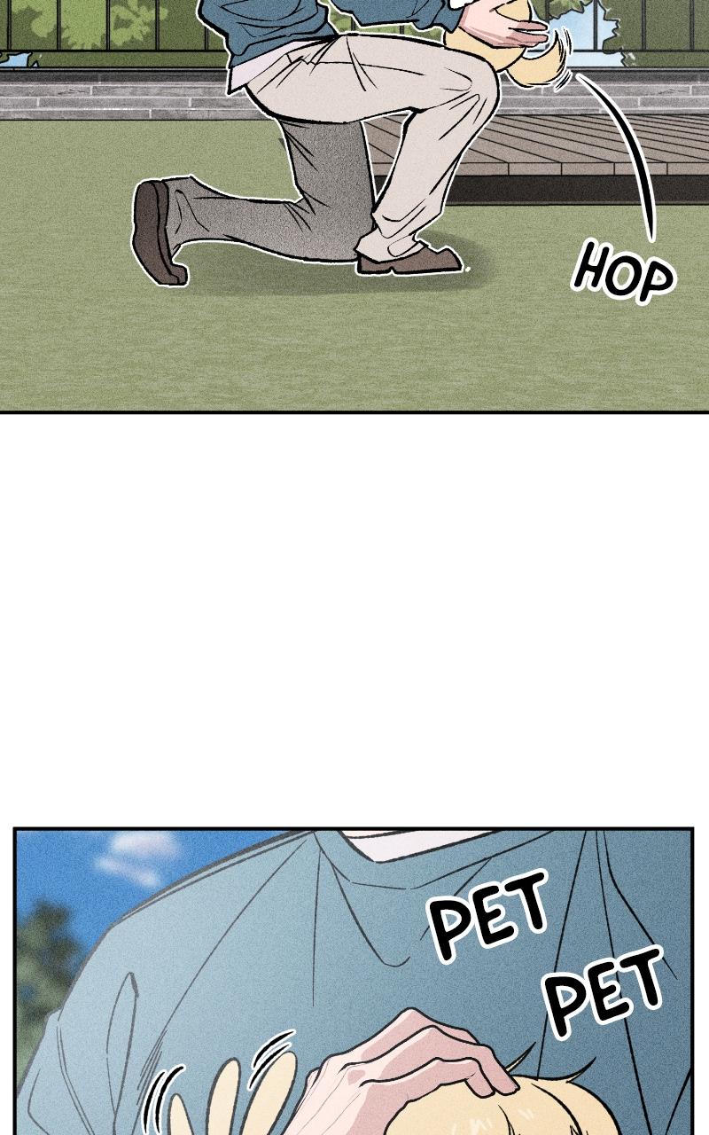 Devilish Son-In-Law Episode 10 55