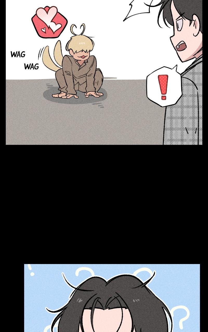 Devilish Son-In-Law Episode 16 20