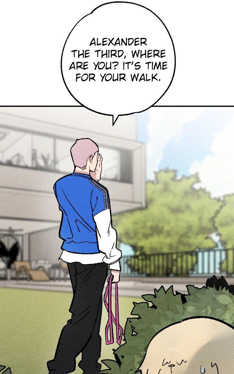 Devilish Son-In-Law Episode 23 12