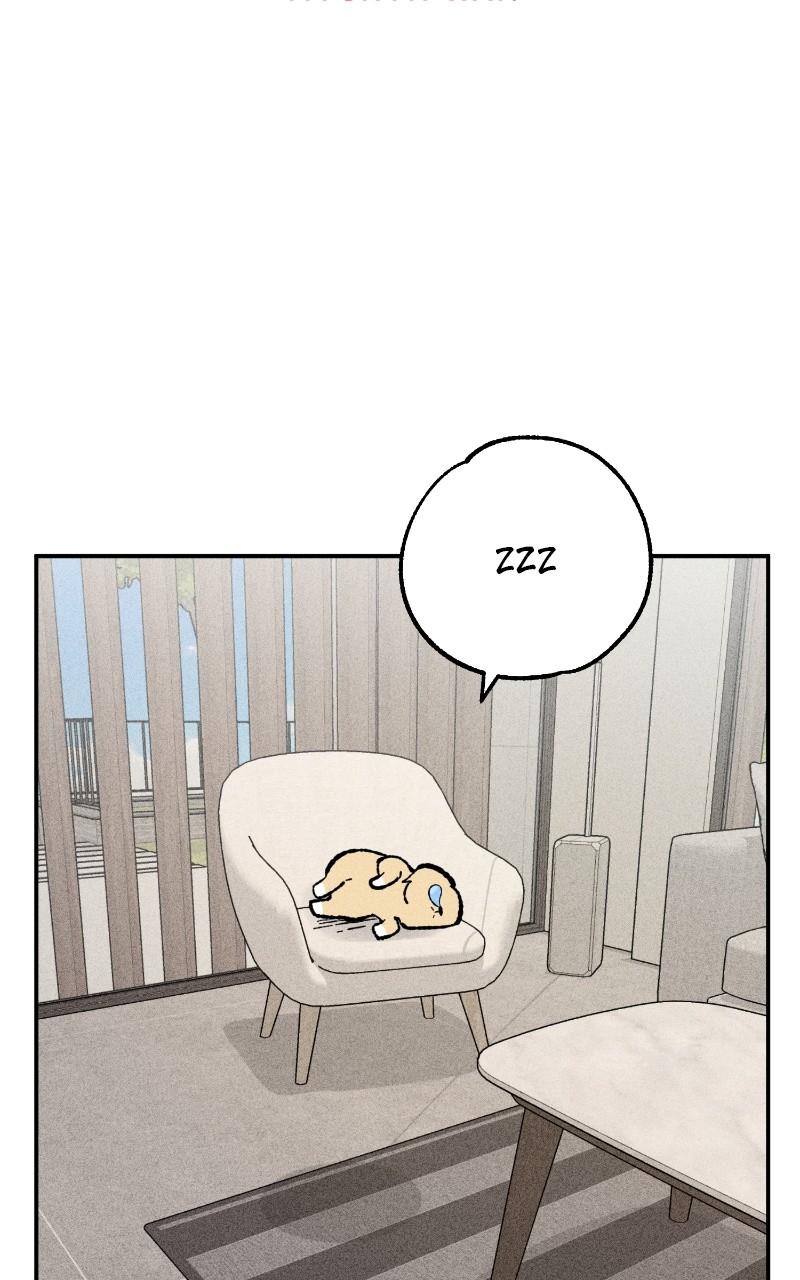 Devilish Son-In-Law Episode 23 17