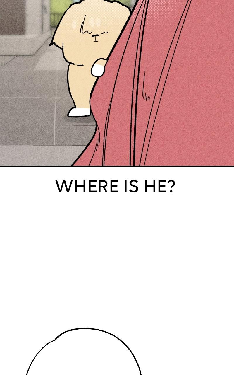 Devilish Son-In-Law Episode 23 22