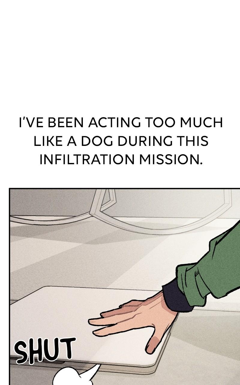 Devilish Son-In-Law Episode 23 50