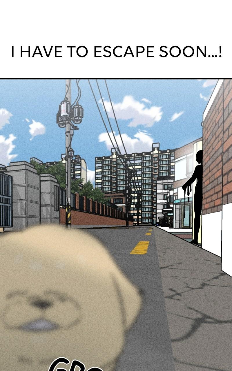 Devilish Son-In-Law Episode 23 93