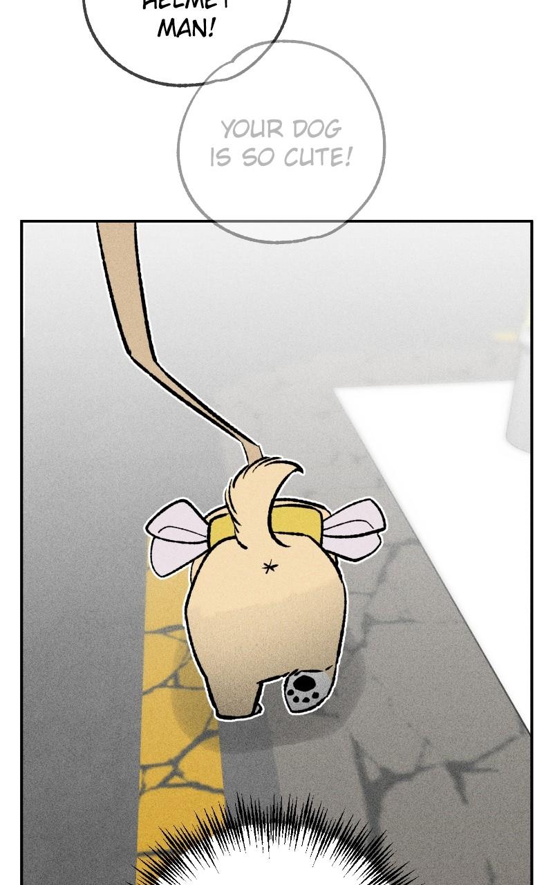 Devilish Son-In-Law Episode 24 43