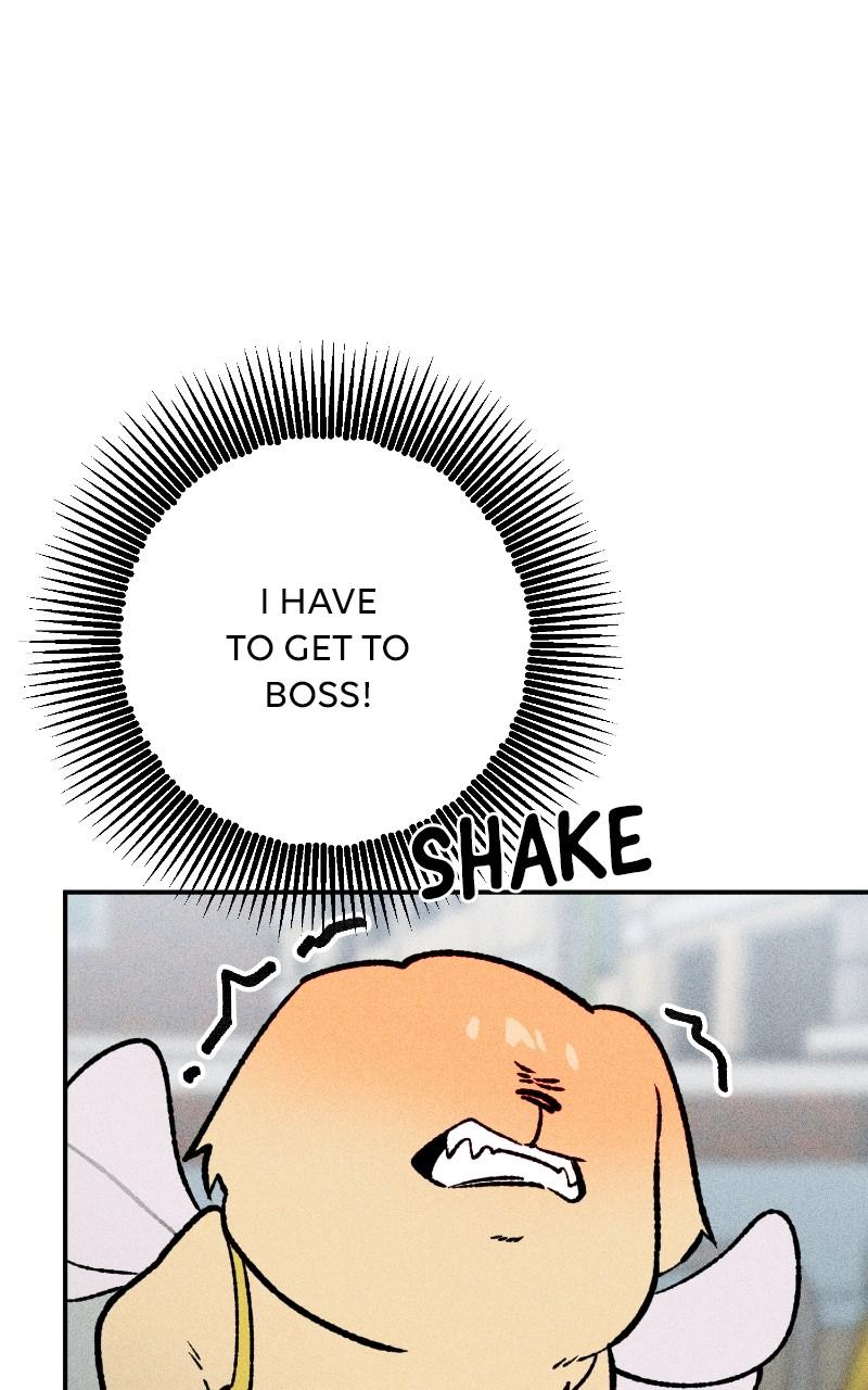 Devilish Son-In-Law Episode 25 30