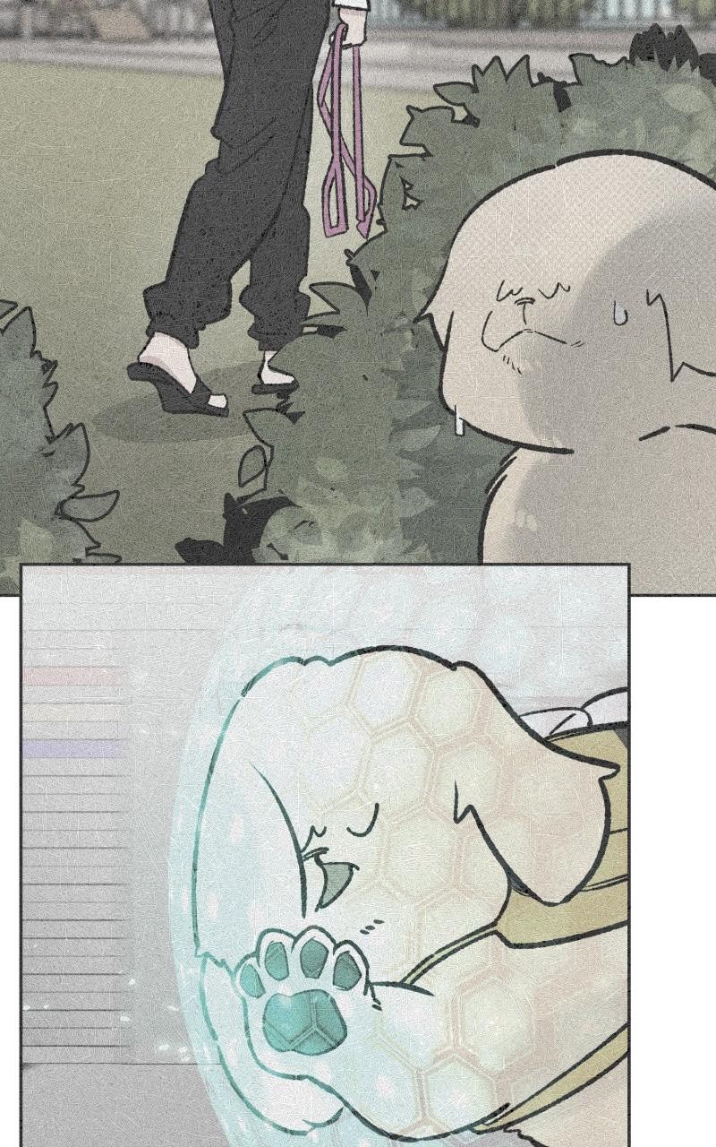 Devilish Son-In-Law Episode 27 79