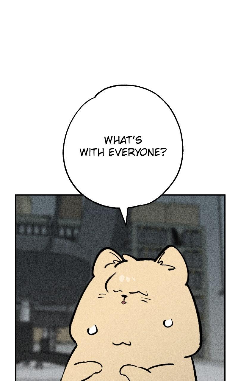 Devilish Son-In-Law Episode 40 85