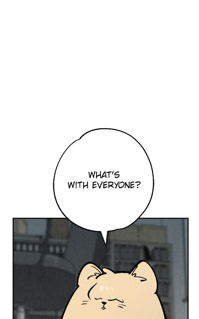 Devilish Son-In-Law Episode 41 1