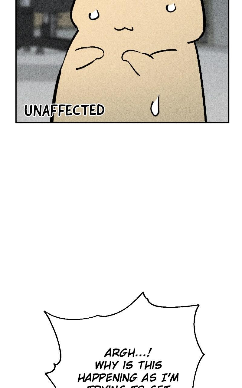 Devilish Son-In-Law Episode 41 2