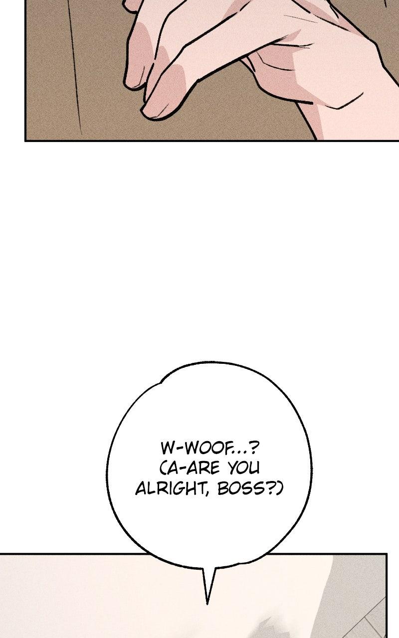 Devilish Son-In-Law Episode 50 69