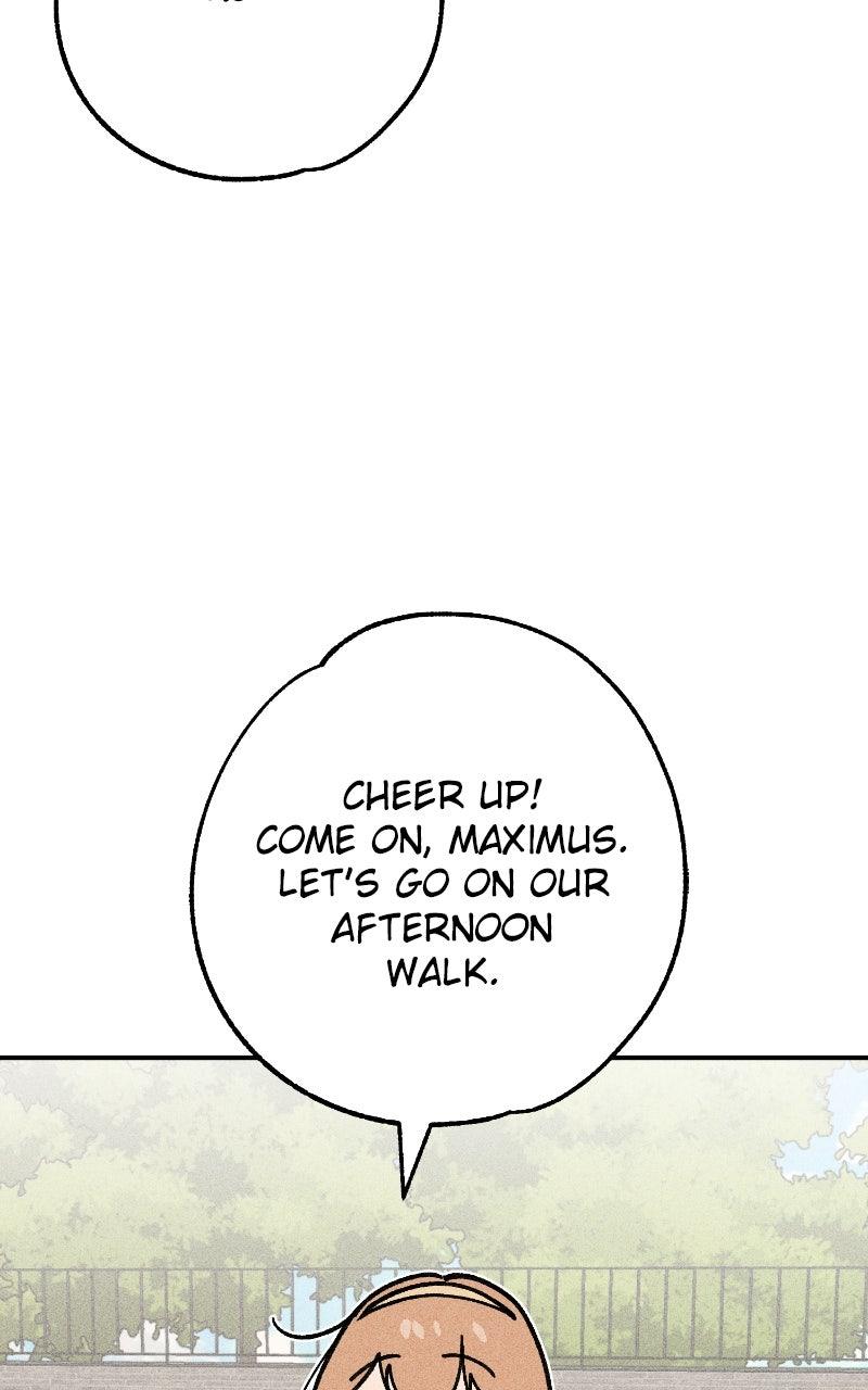 Devilish Son-In-Law Episode 50 85