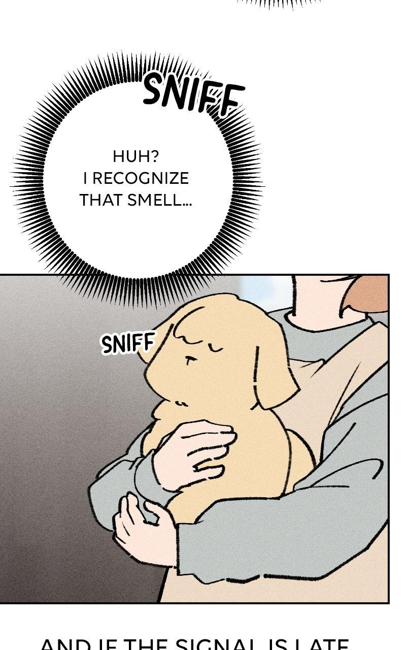 Devilish Son-In-Law Episode 55 49