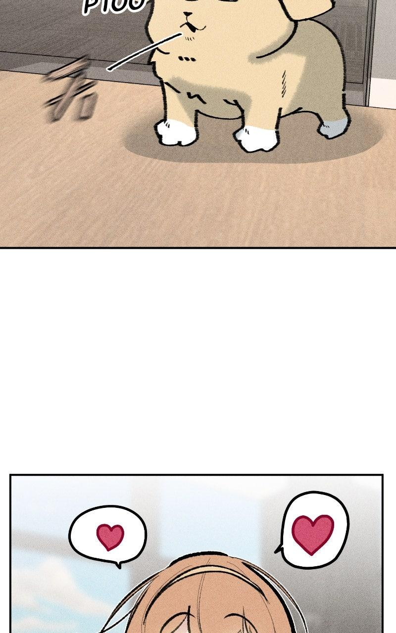 Devilish Son-In-Law Episode 60 14