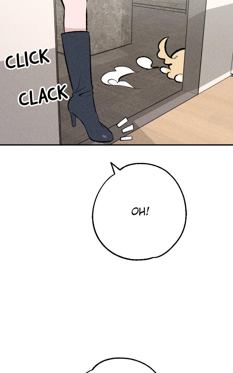 Devilish Son-In-Law Episode 60 25