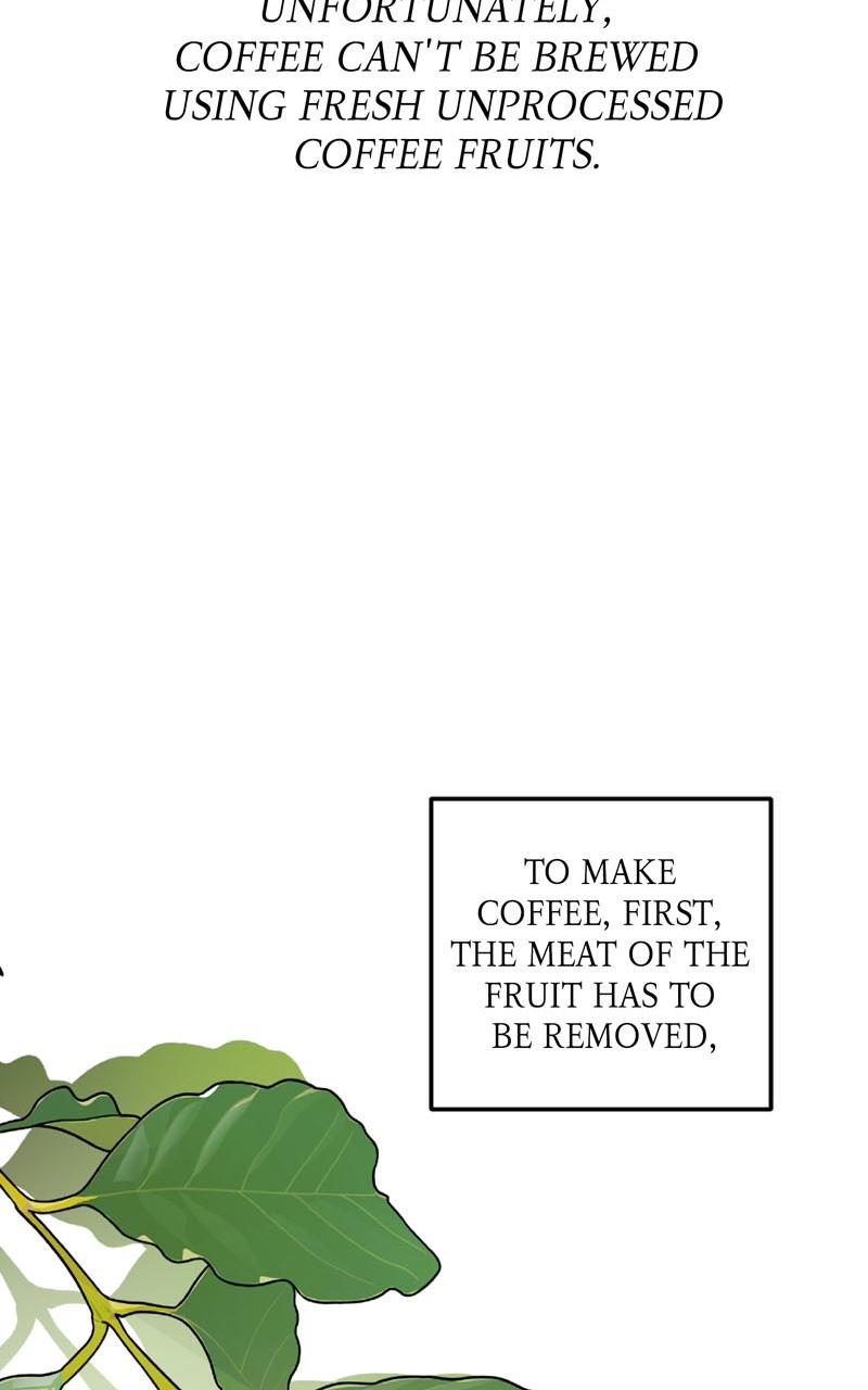 Duchess's Lo-Fi Coffeehouse Episode 2 59